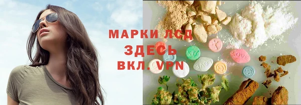 индика Бугульма