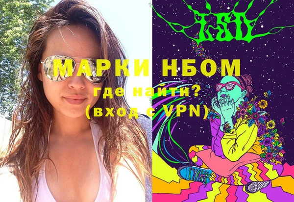 индика Бугульма