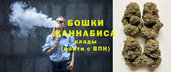 индика Бугульма