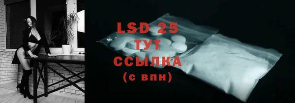 индика Бугульма