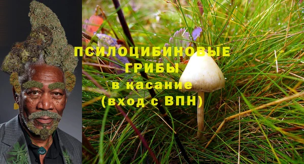 кокаин перу Бородино