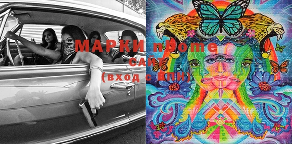 индика Бугульма