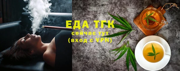 индика Бугульма