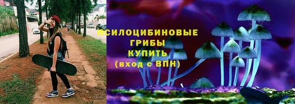 индика Бугульма