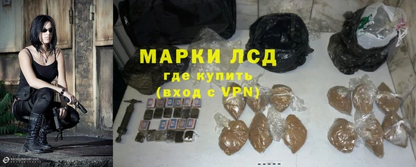 индика Бугульма