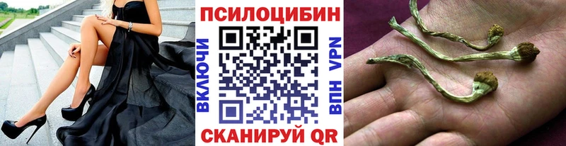 Галлюциногенные грибы MAGIC MUSHROOMS KRAKEN ONION Нальчик